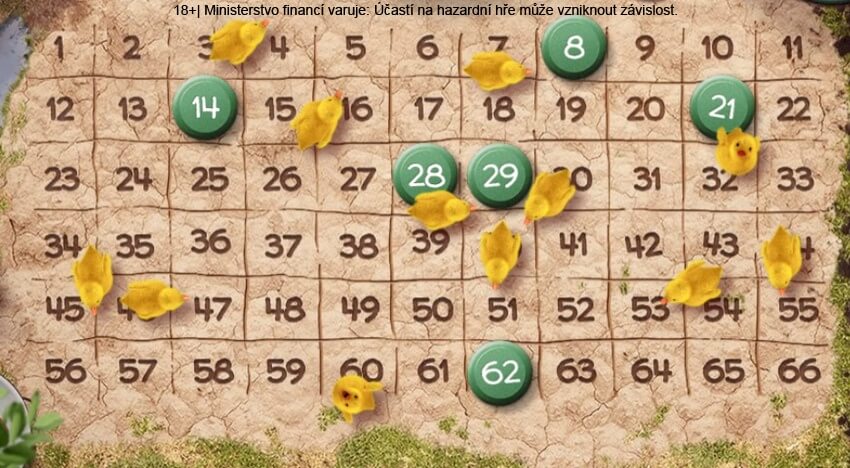 Zahrajte si loterii Rychlé kačky.