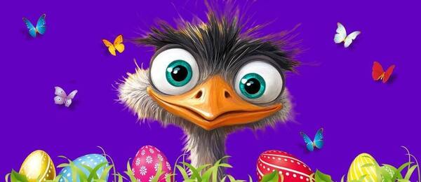 Pštrosení u Maxy nabídne vejce s odměnou